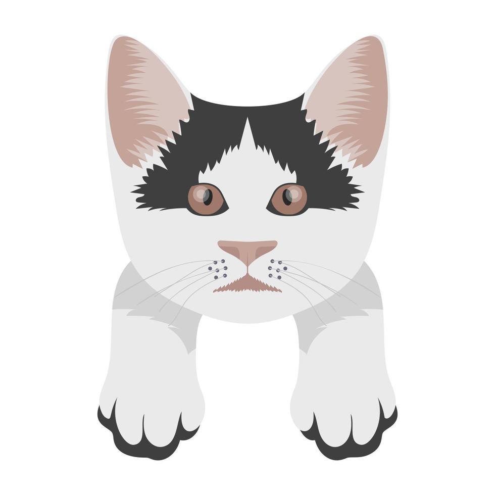 conceptos de gatos lindos vector