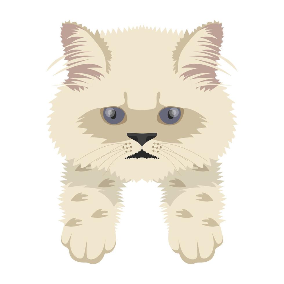 Cartoon Cat Concepts vector