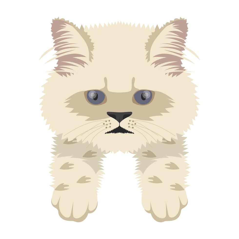 conceptos de gato de dibujos animados vector