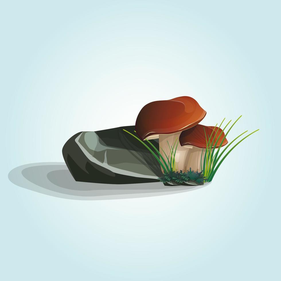 Two mushroom growing under a rock in the grass and forest moss. Vector illustration.