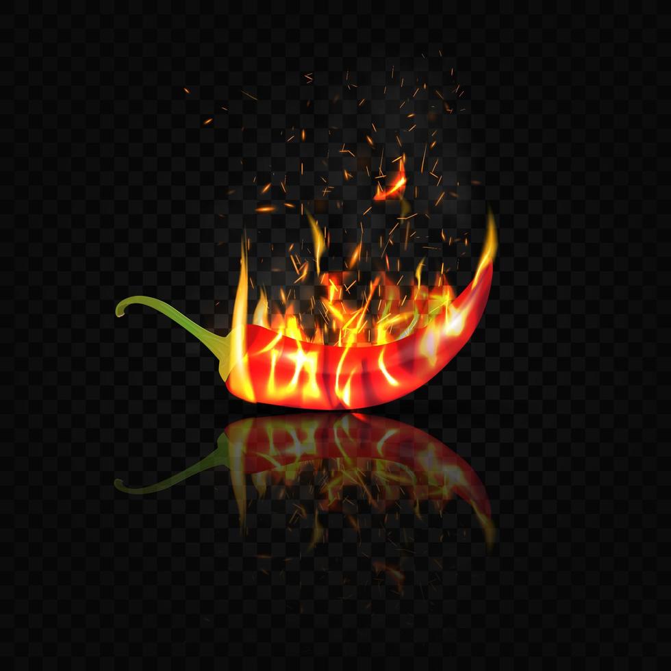 Red bitter pepper is embraced by fire on a black background and reflected in the glossy surface of the table. vector