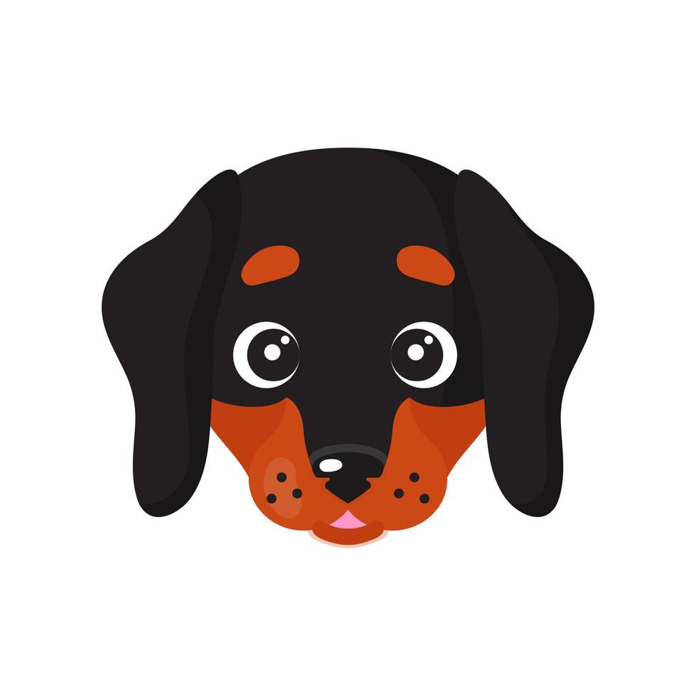 Vector cartoon dog face of Dachshund breed.
