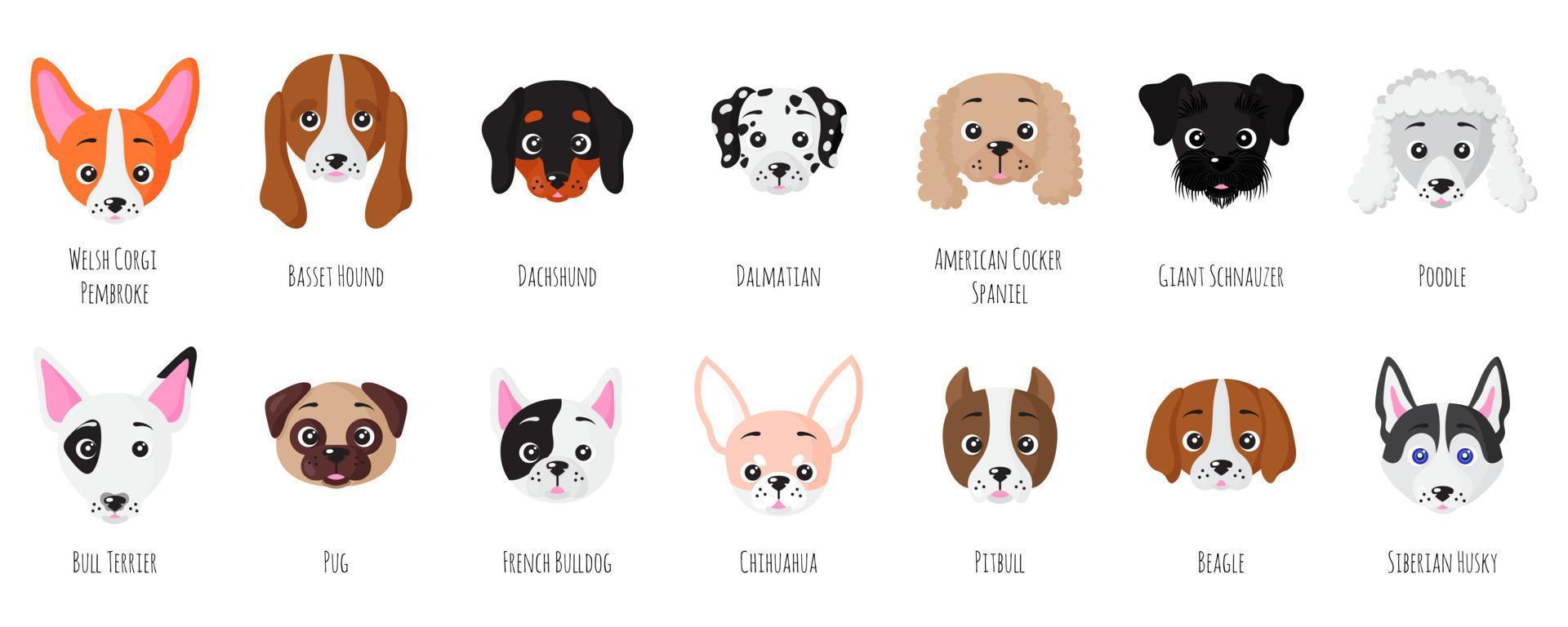 Set of little puppy dogs face of different breeds. vector