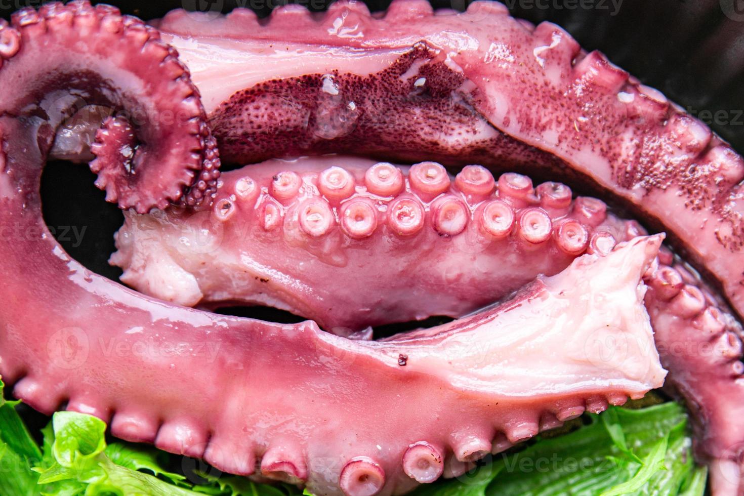 octopus salad food seafood meal pescetarian diet photo