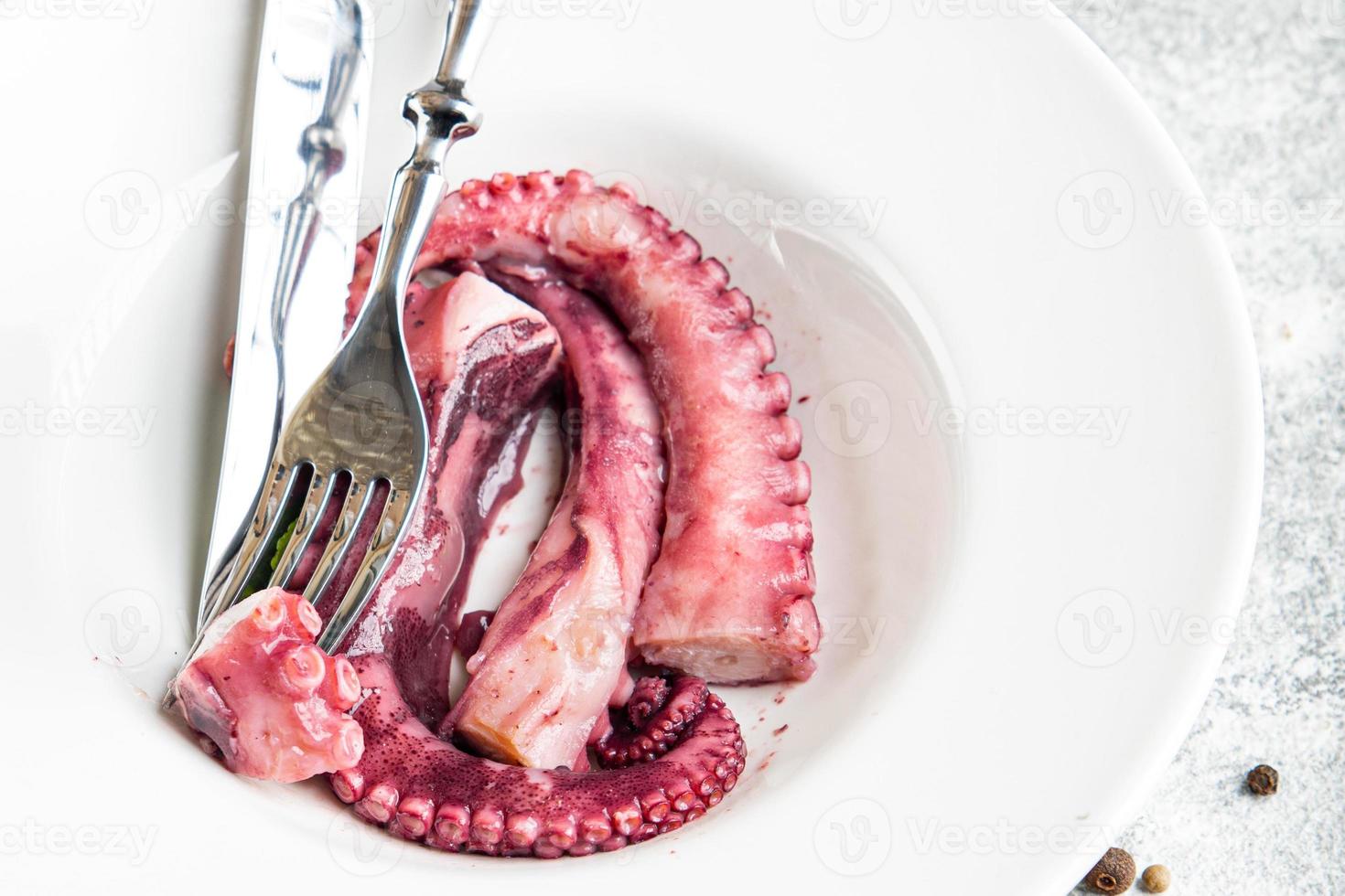 octopus food fresh seafood meal photo