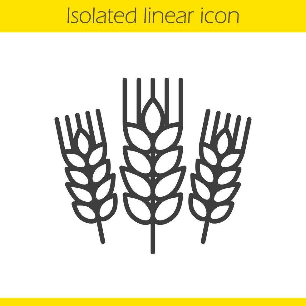 Wheat ears linear icon. Barley thin line illustration. Spikes of rye contour symbol. Vector isolated outline drawing