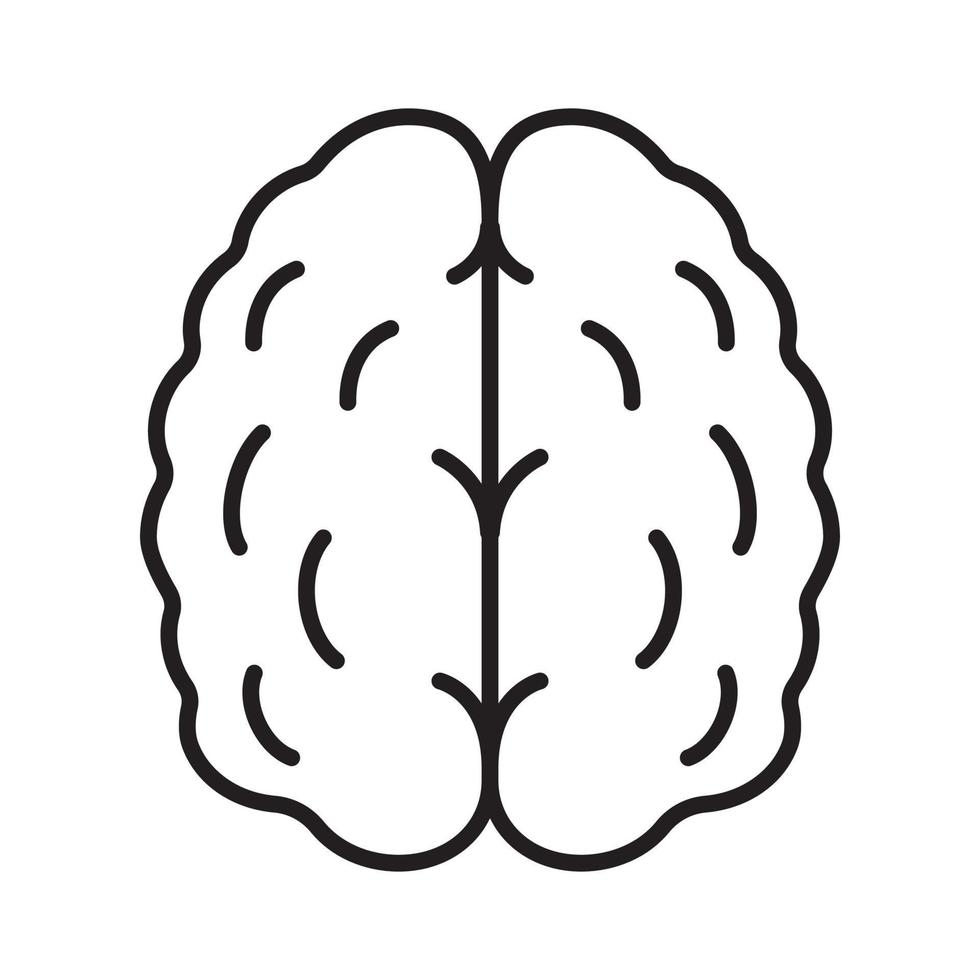 Human brain linear icon. Isolated vector illustration