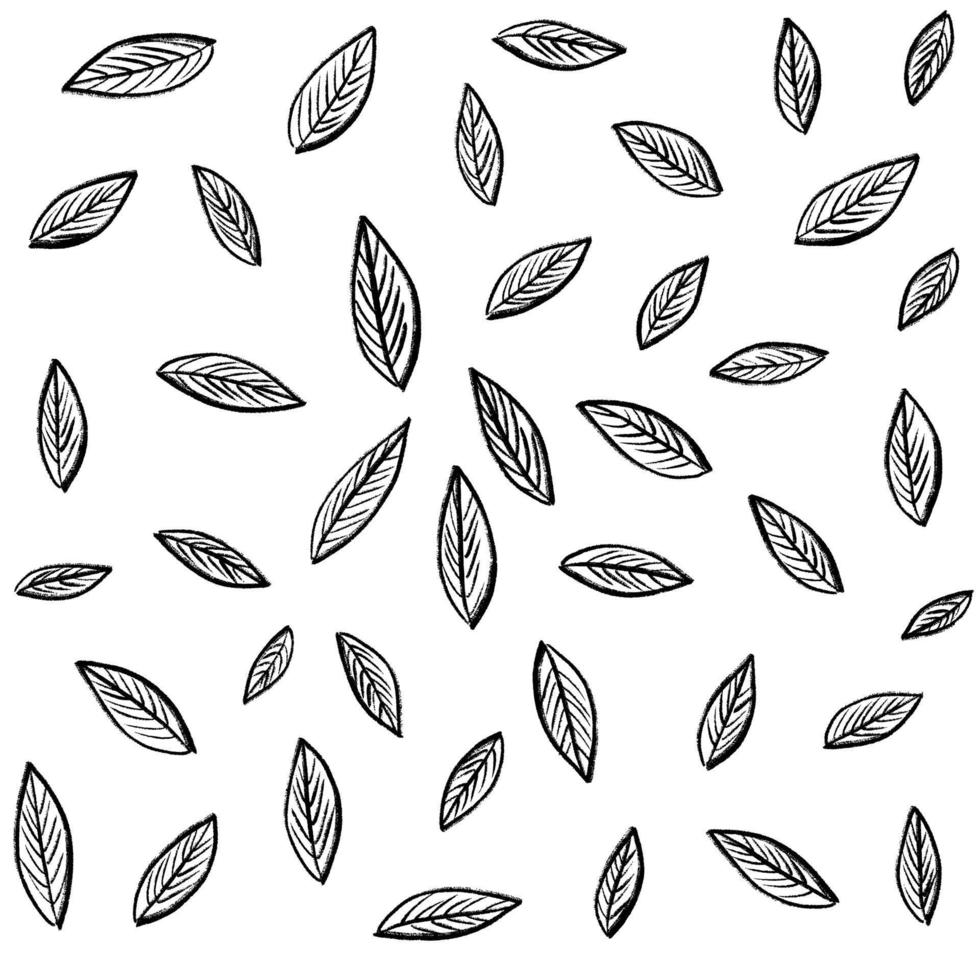 Pattern of tropical leaves isolated on white background. Floral Design elements. wedding invitations, greeting cards, blogs, posters. vector - Illustration