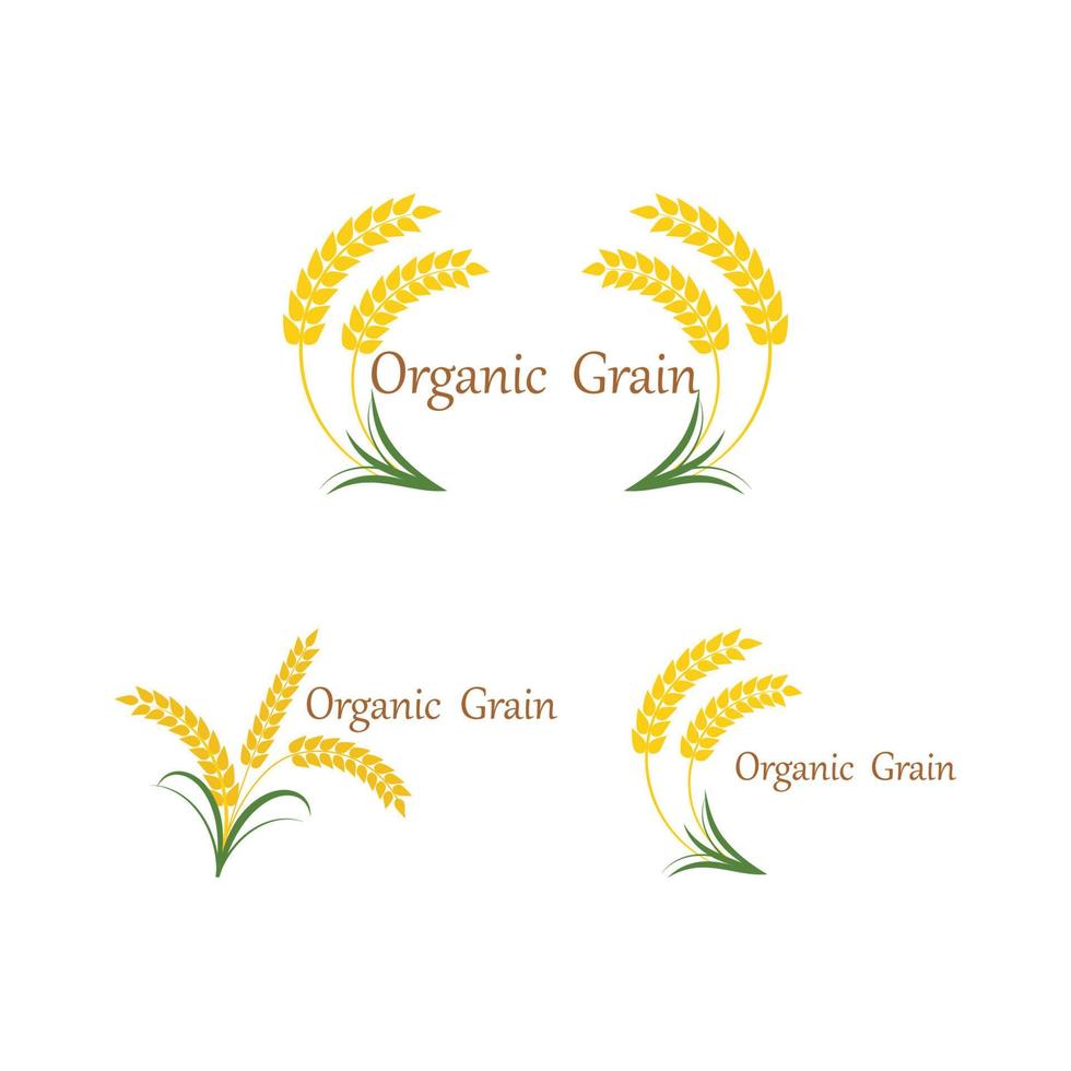 Agriculture wheat Logo Template vector icon design