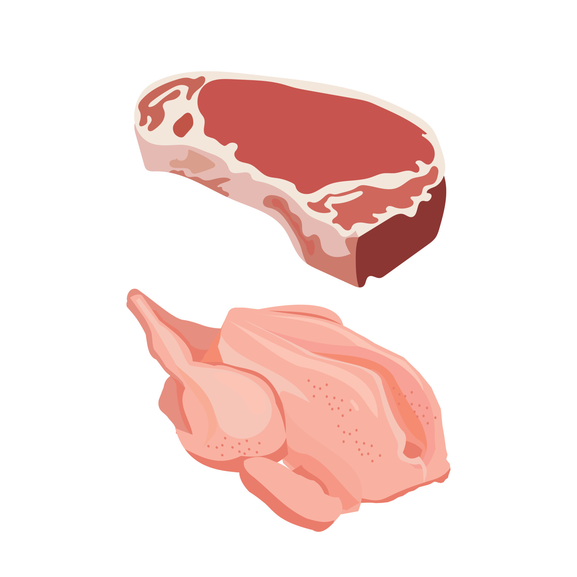 Meat Stock Illustrations – 556,486 Meat Stock Illustrations, Vectors &  Clipart - Dreamstime