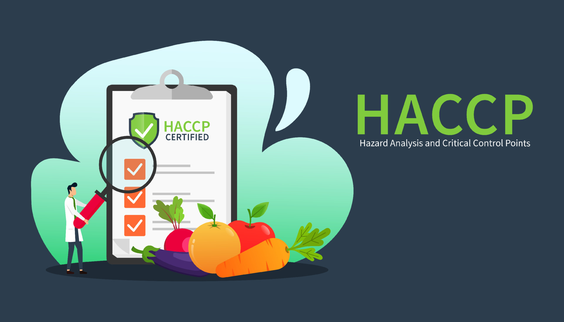 HACCP, Hazard Analysis and Critical Control Point for food safety. Standard and Certification