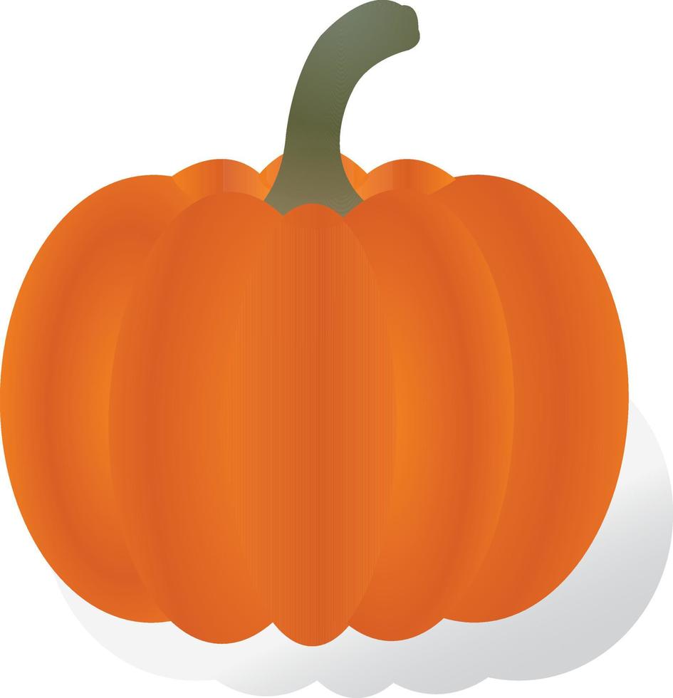 Ilustración de vector realista de calabaza