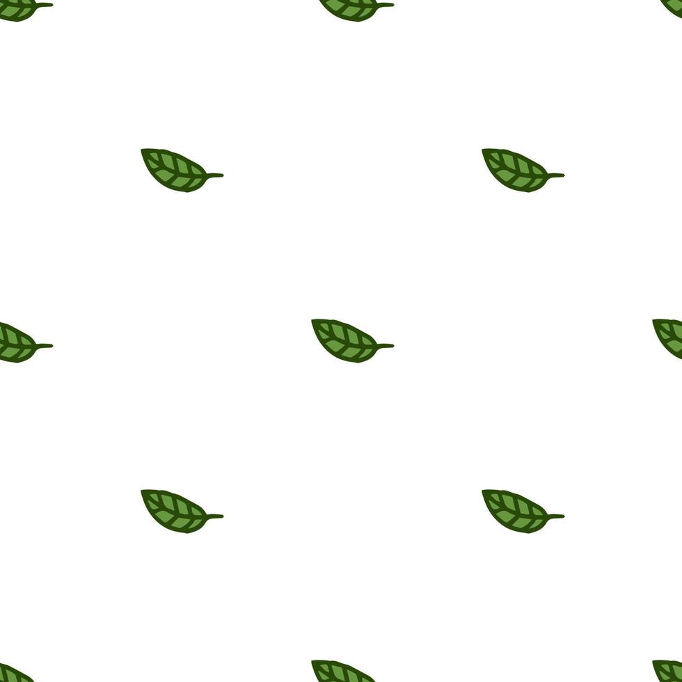 Seamless pattern. Doodle style hand drawn. Nature elements. Vector illustration. Green leaves on a white background.