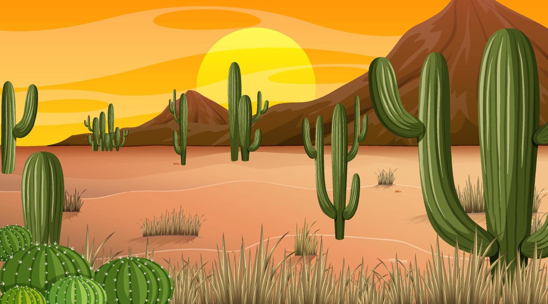 paisaje de bosque desértico en la escena del atardecer con muchos cactus vector