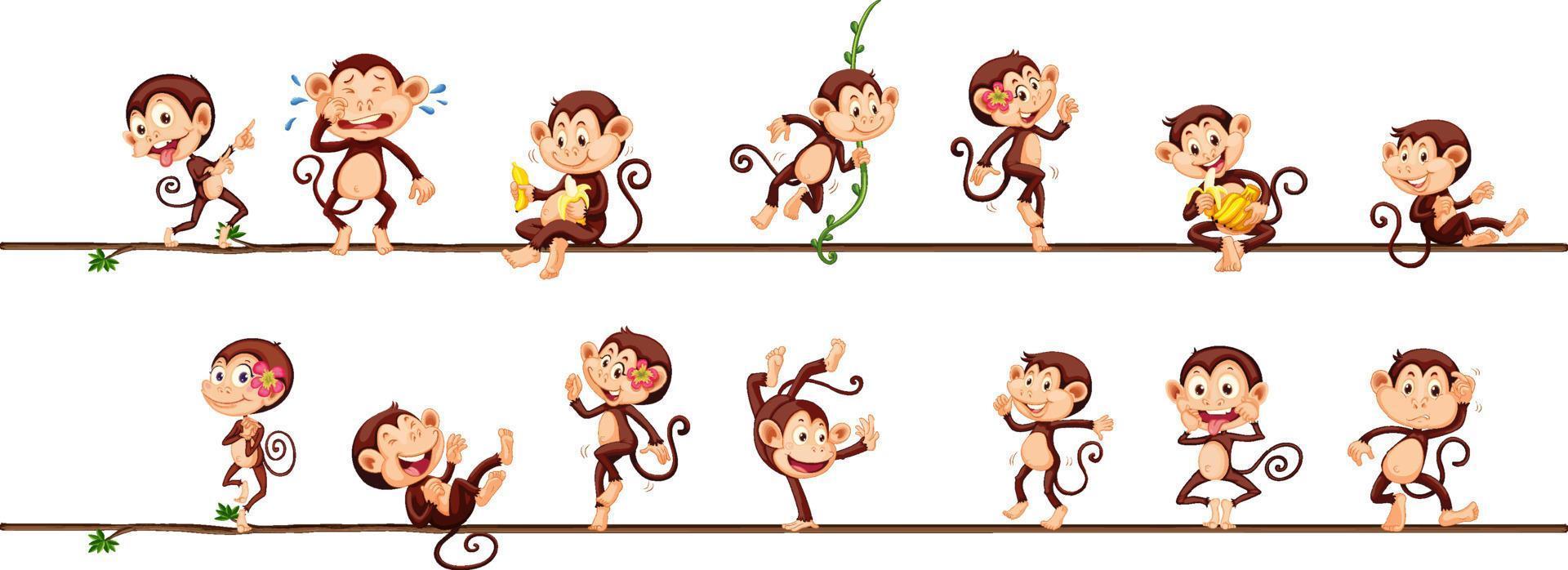 Different monkey cartoon characters on the rope vector