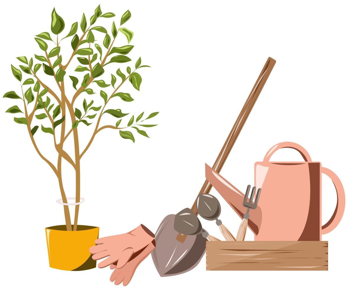 A set of gardening tools and a small potted tree. vector