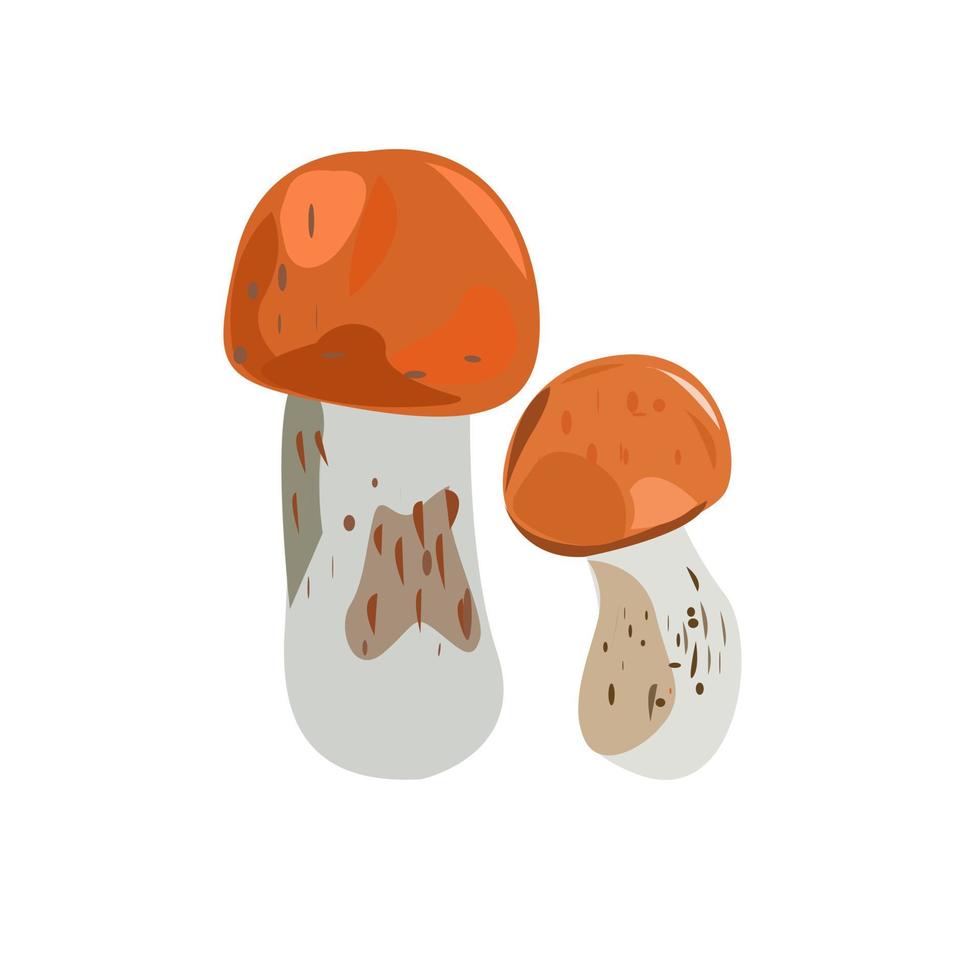Aspen mushrooms on a white background vector