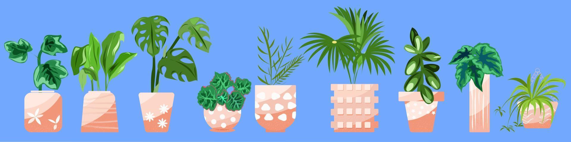 conjunto de macetas con plantas de interior vector