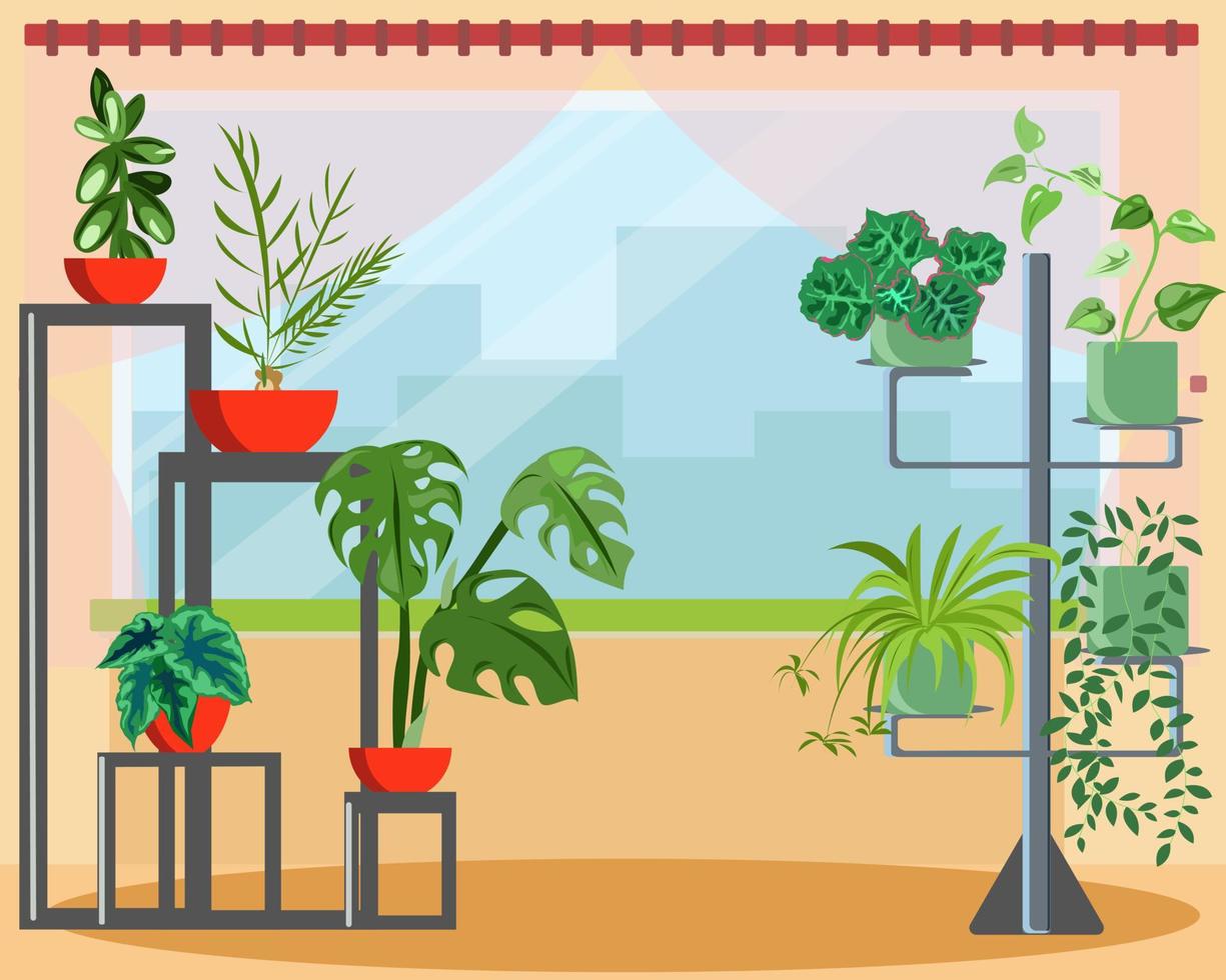 Plantas de interior en soportes junto a la ventana. vector