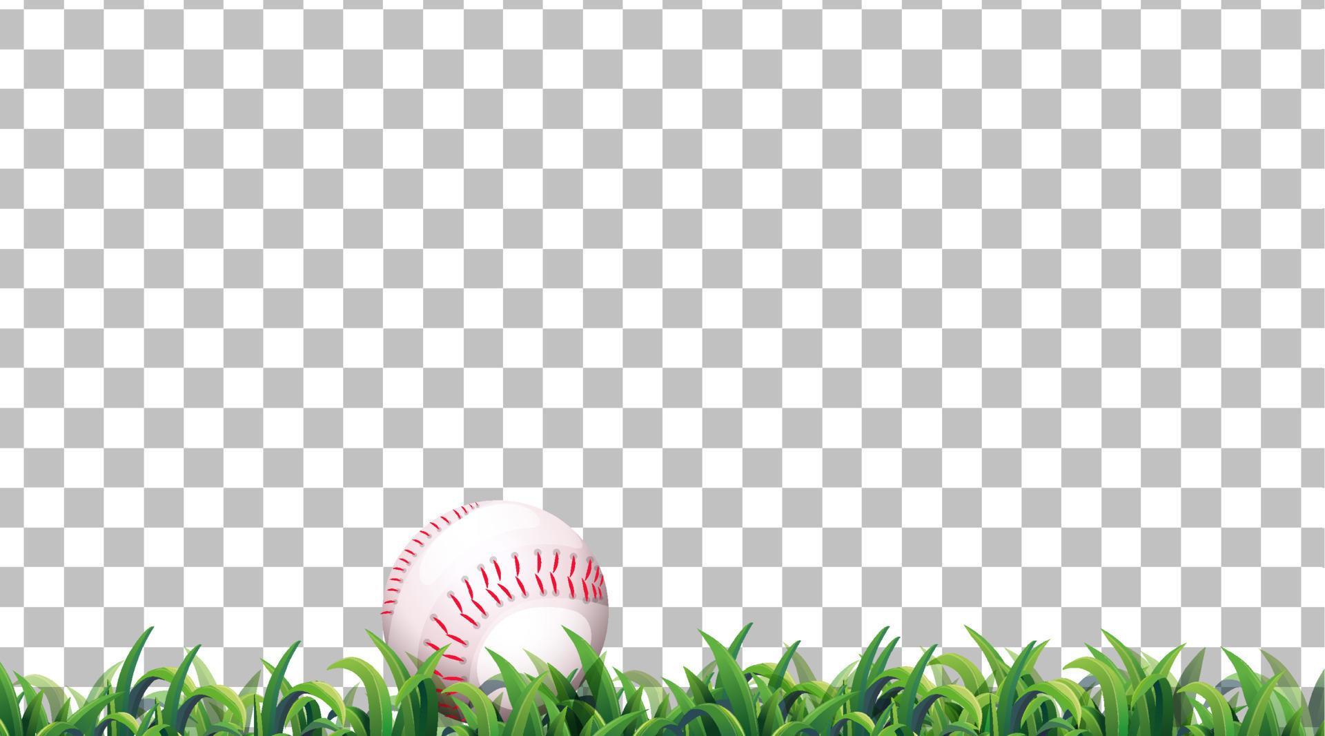 Baseball on the grass field on grid background 4384730 Vector Art at