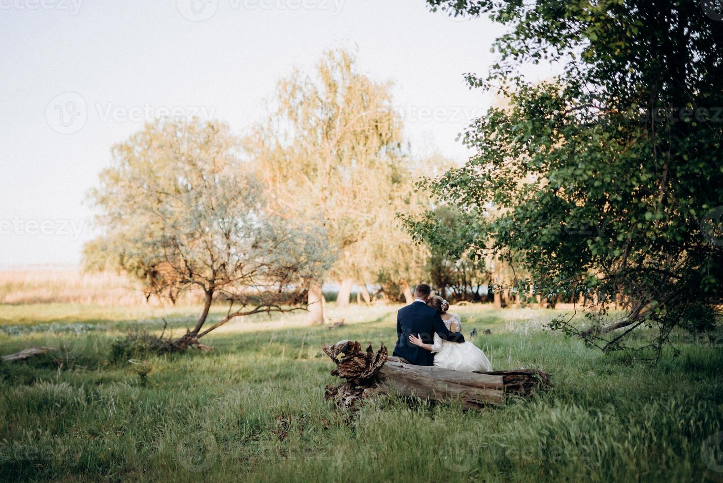 the groom and the bride are walking in the forest near a narrow river photo