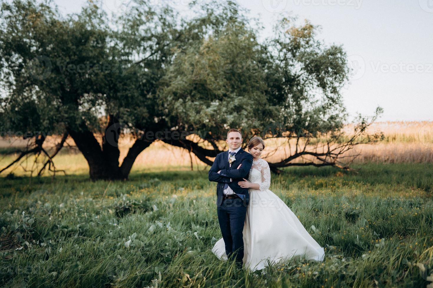 the groom and the bride are walking in the forest near a narrow river photo