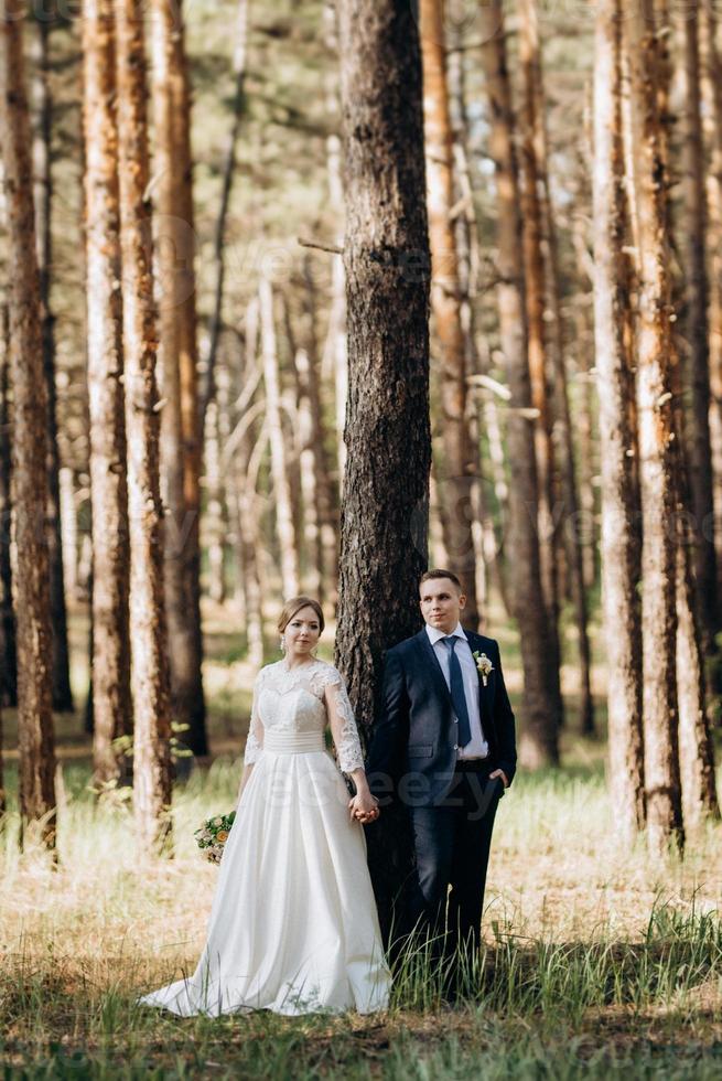 the bride and groom are walking in a pine forest photo