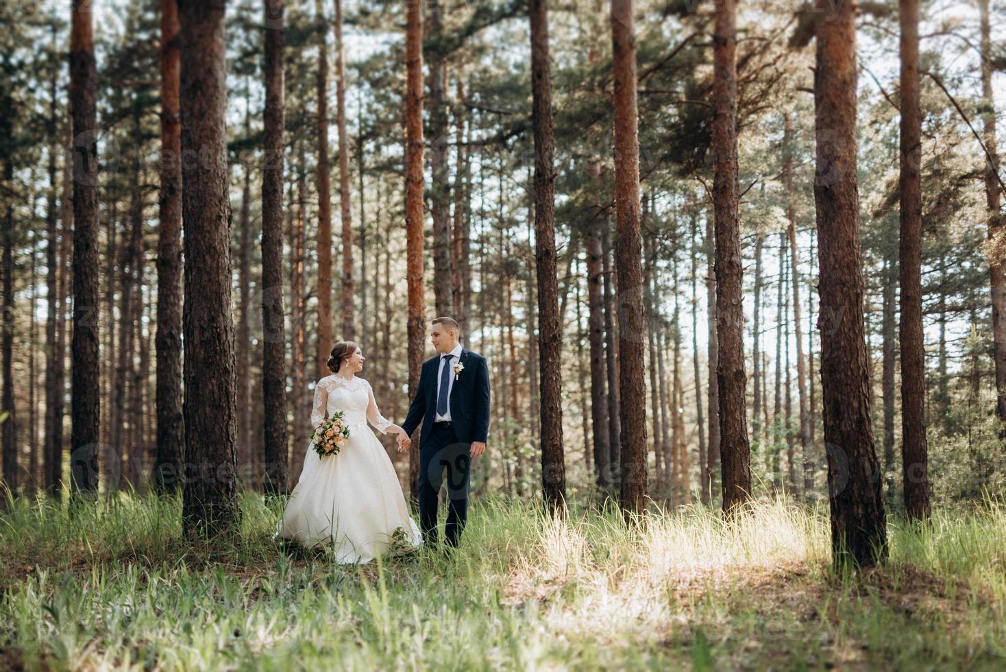 the bride and groom are walking in a pine forest photo