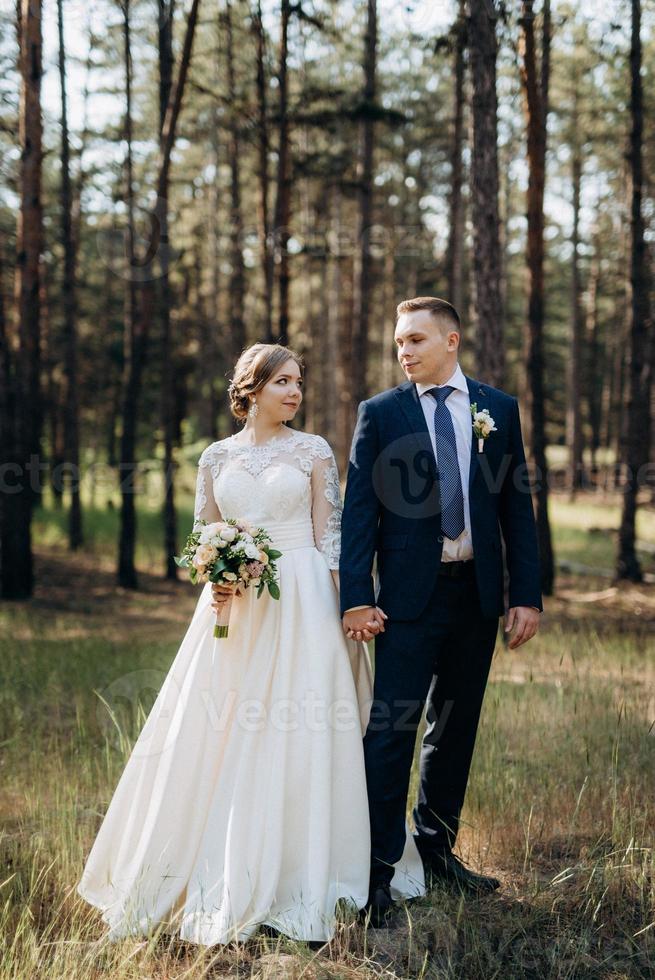 the bride and groom are walking in a pine forest photo