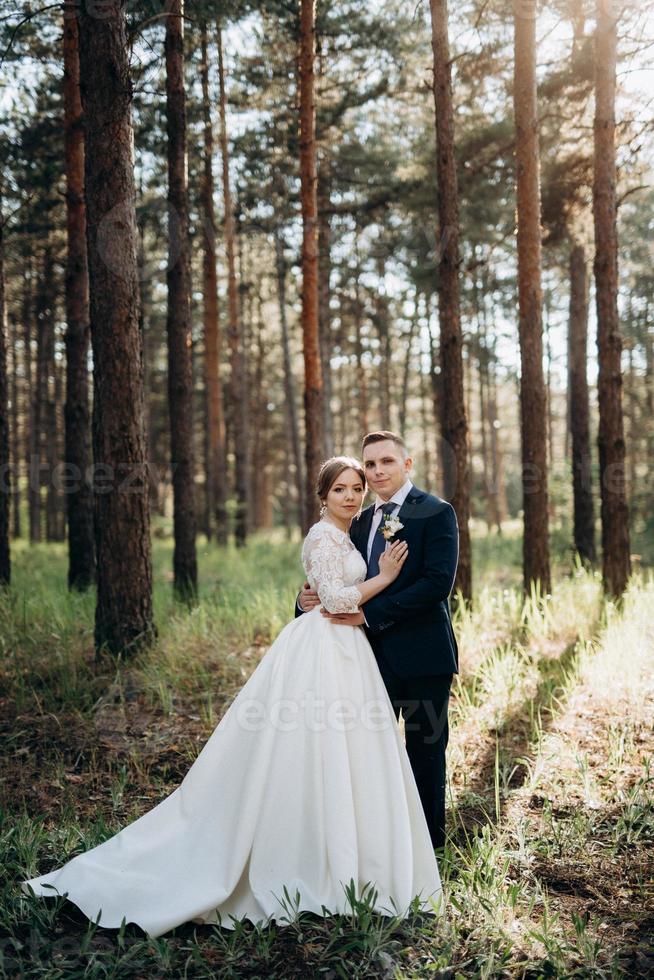 the bride and groom are walking in a pine forest photo