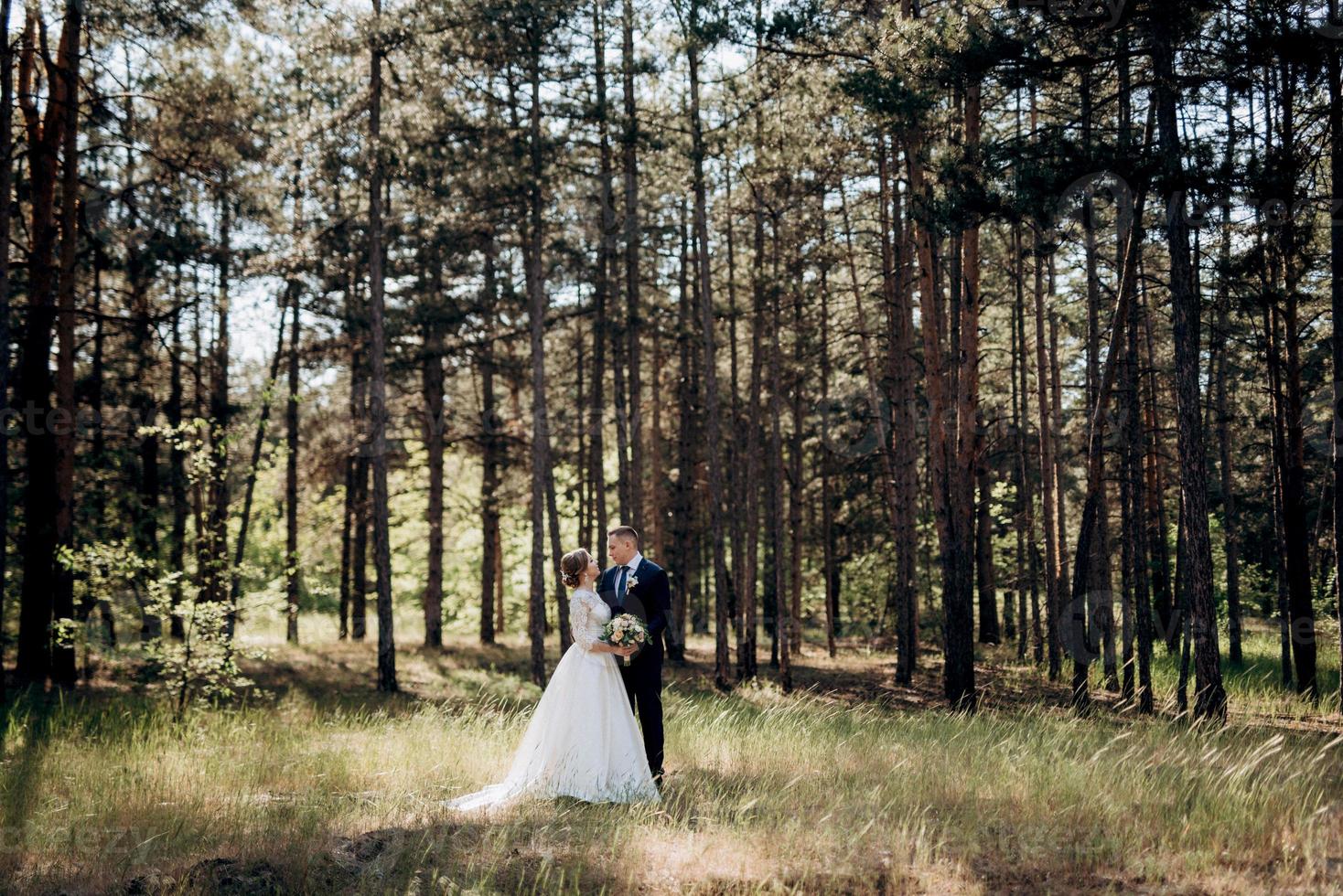 the bride and groom are walking in a pine forest photo