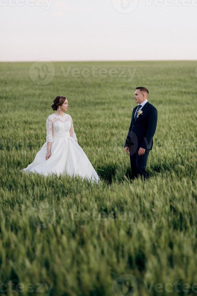 el novio y la novia caminan por el campo verde de trigo foto