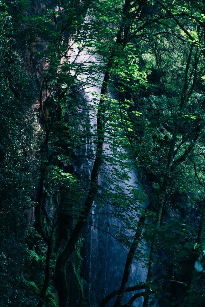 waterfall on the forest photo