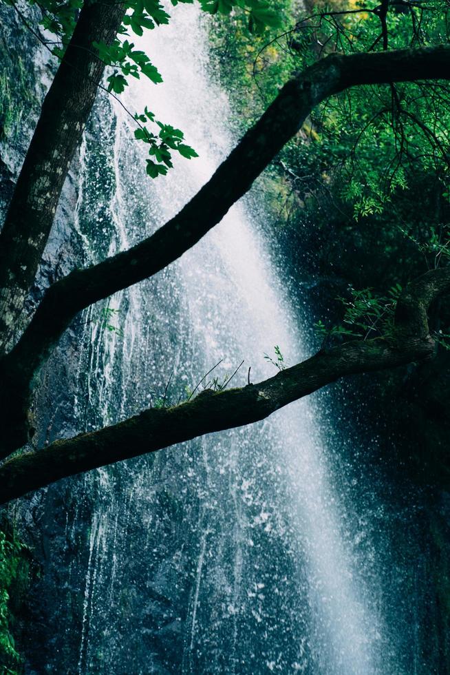 waterfall on the forest photo