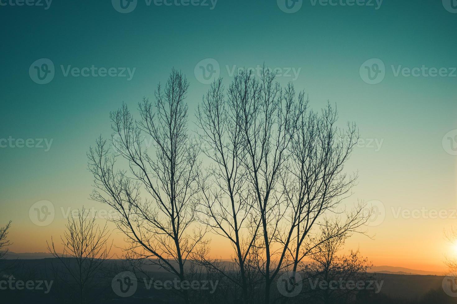 golden hour sunset photo