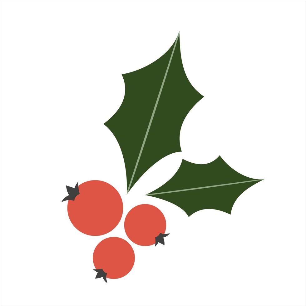 bayas rojas con hojas de acebo aisladas sobre fondo blanco. flor navideña para decoración y adornos. ilustración vectorial en estilo plano. vector