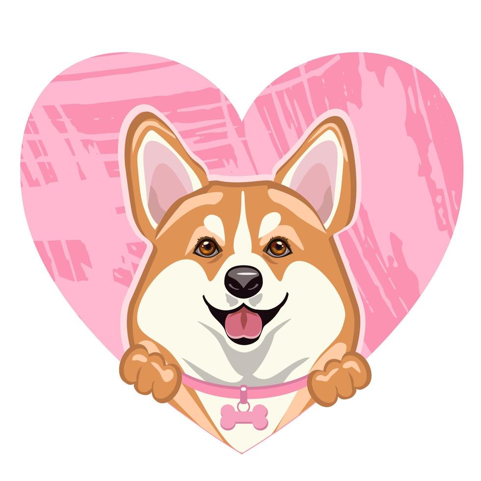 sonriente lindo perro corgi galés con un corazón rosa. vector