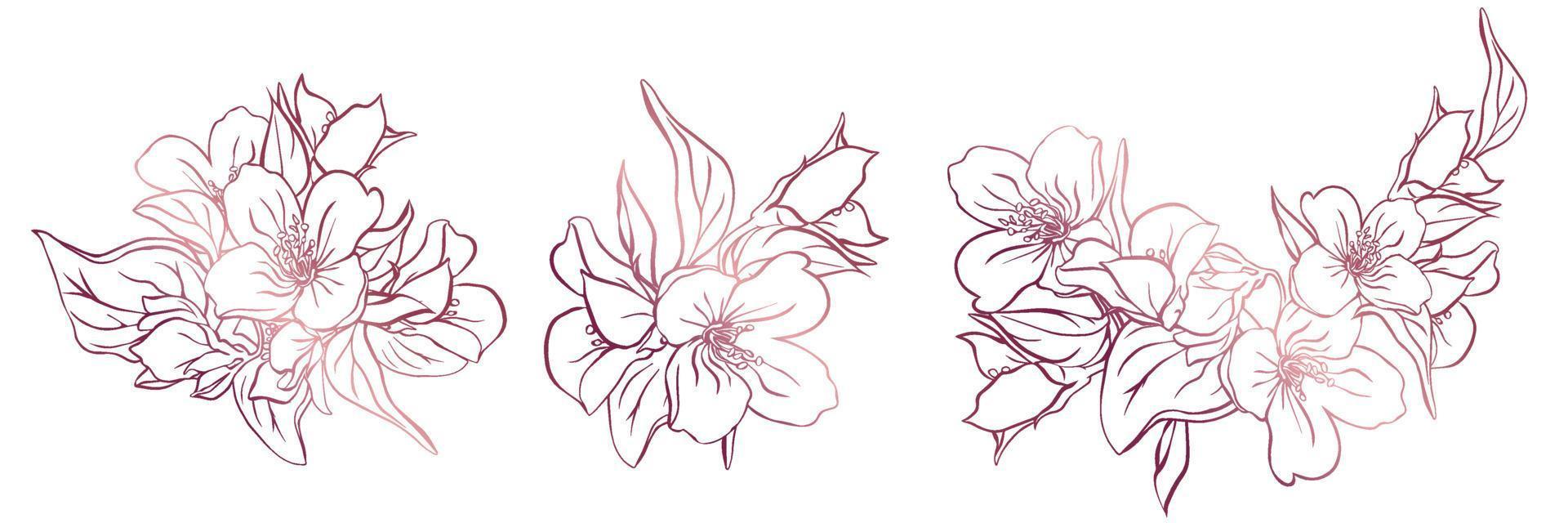 con 3 ramitas de jazmín en flor. contorno de flores aisladas de fondo blanco. vector