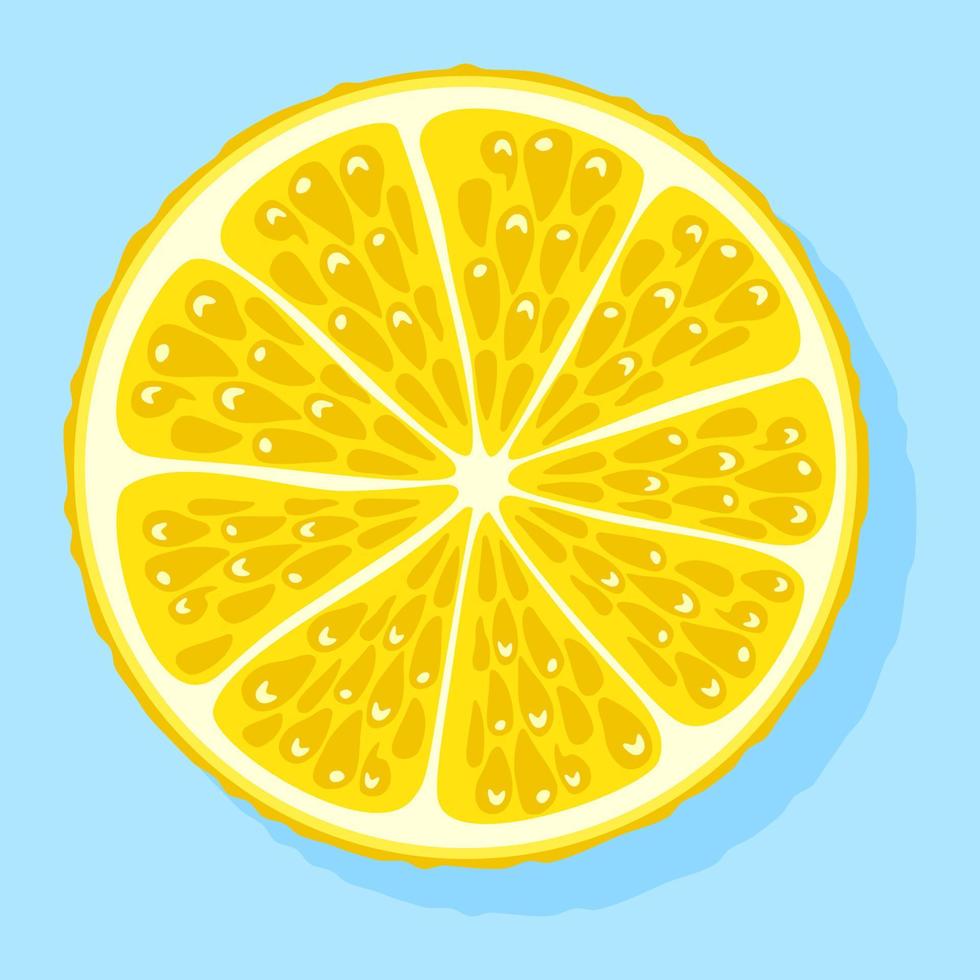 Half, slice of lemon isolated on a light blue background. Cartoon style. vector