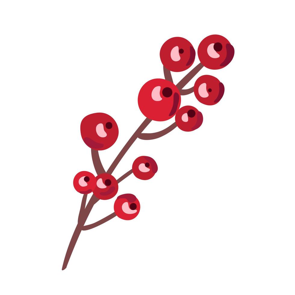vector red winter berries. flat cartoon style holly tree, mistletoe or ilex berries on branch. Isolated illustration on white background. Christmas card, banner