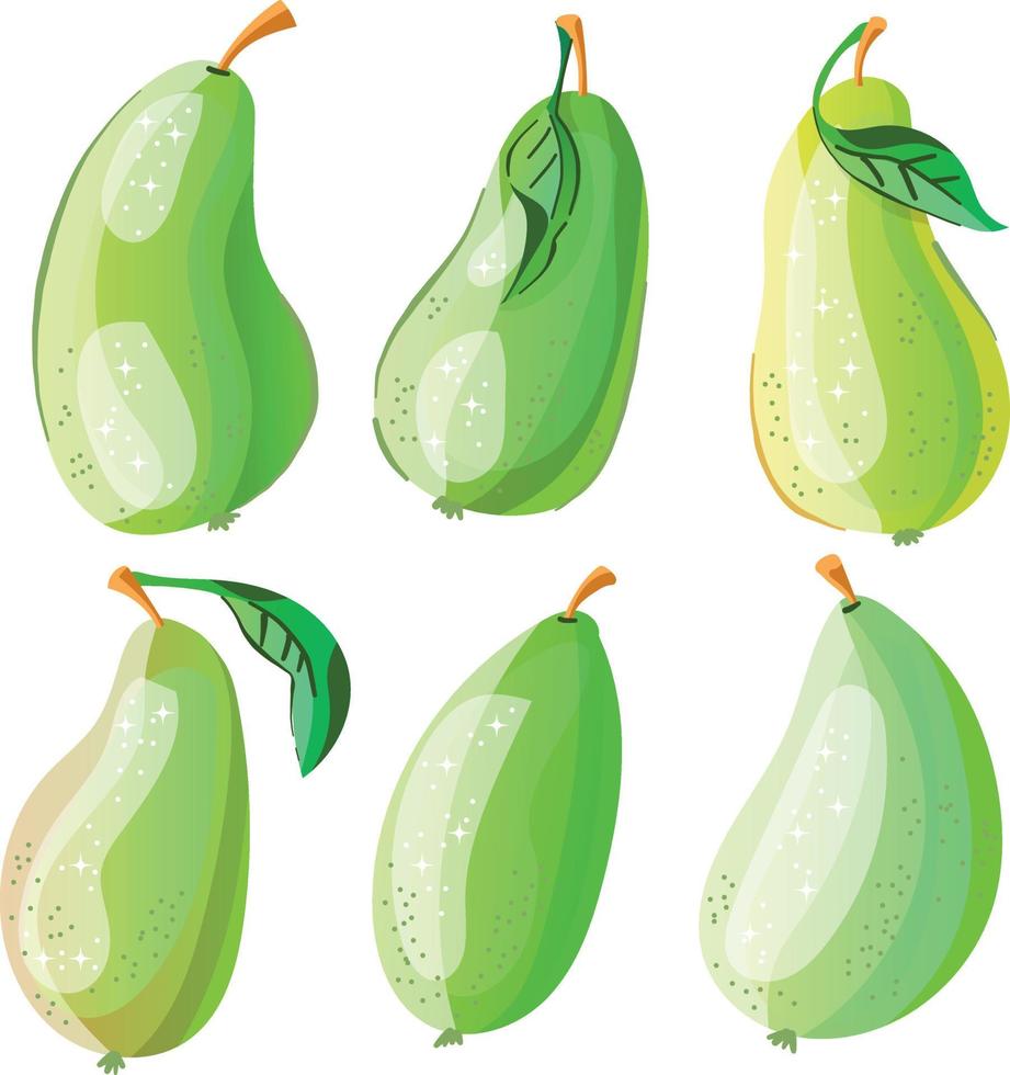 Set with six green pears vector