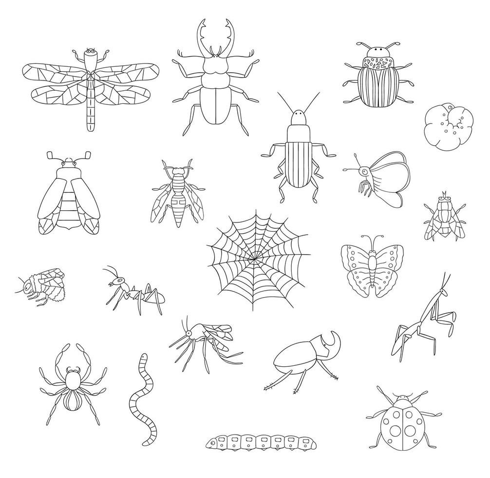 Vector set of black and white insects. Collection of isolated on white background monochrome bee, bumble bee, may-bug, fly, moth, butterfly, caterpillar, spider, ladybug, ground, stag beetle