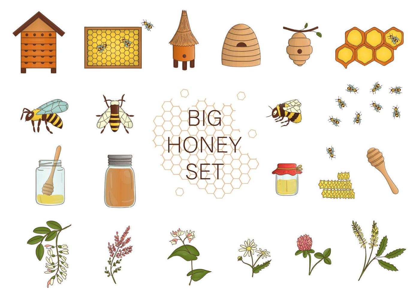 Vector colored set of honey, bee, bumblebee, beehive, wasp, apiary, meadow flowers, honeycombs, propolis, jar, spoon. Colorful honey collection isolated on white background.