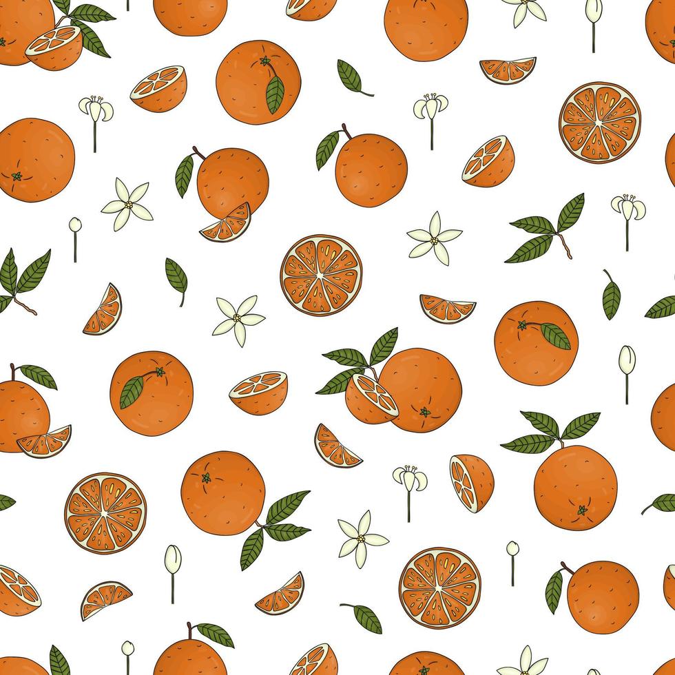 vector de patrones sin fisuras de color de naranjas. Fondo repetitivo colorido con cítricos, hojas, flores, ramitas. ilustración de comida fresca