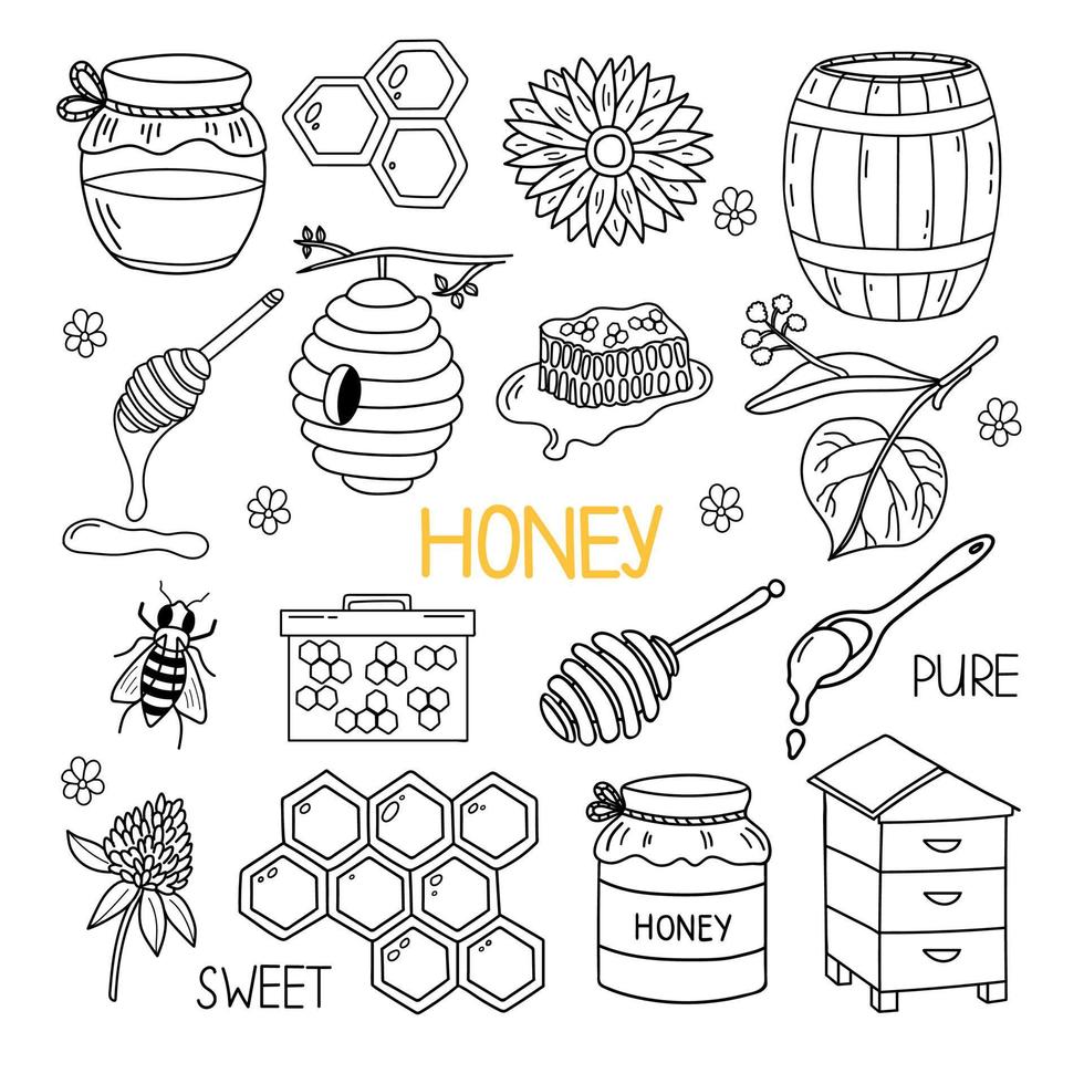 Honey doodle set with bee, beehive, honeycomb, linden, sunflowers. Hand drawn vector illustration isolated on white background.