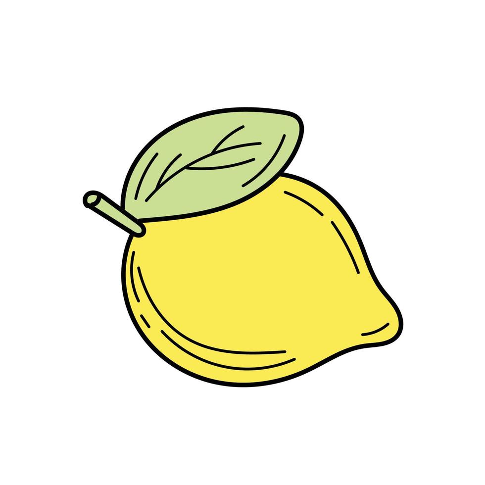 Hand drawn lemon. Sketch. Doodle isolated on white background. Perfect for summer design. vector