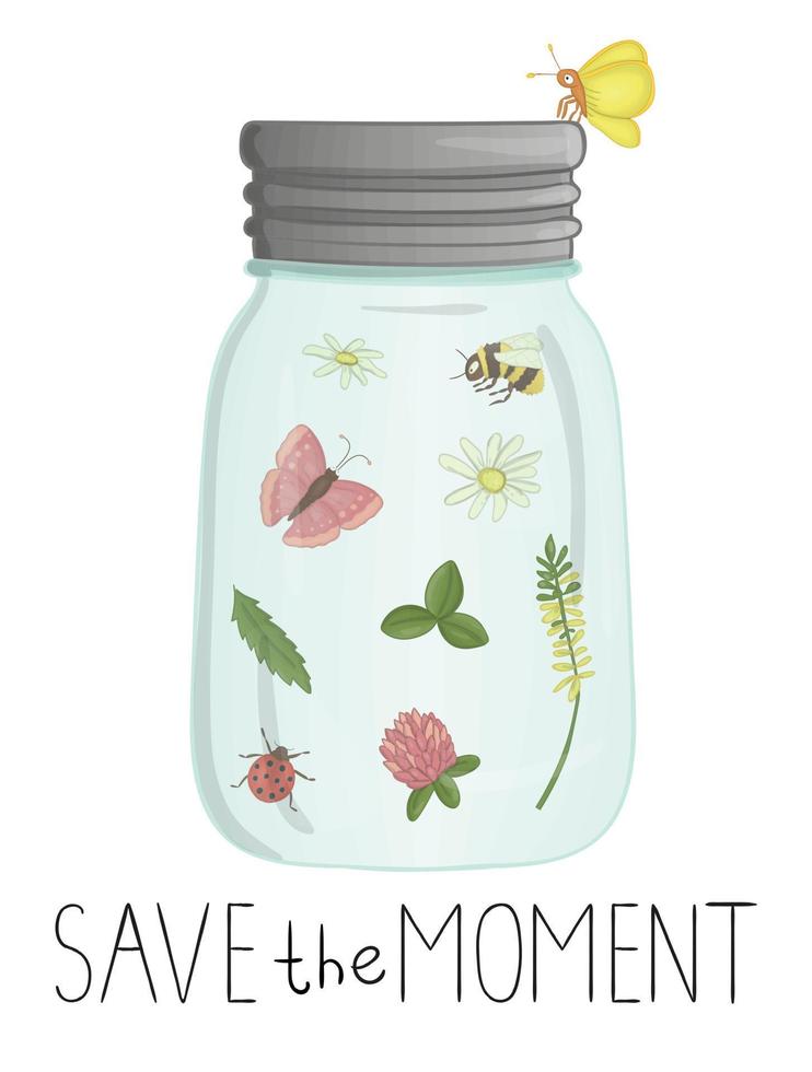 Vector illustration of glass jar with insects and flowers inside. Cute summer illustration. Save the moment. Moth, butterfly, bee, bumblebee, ladybug, camomile, clover picture