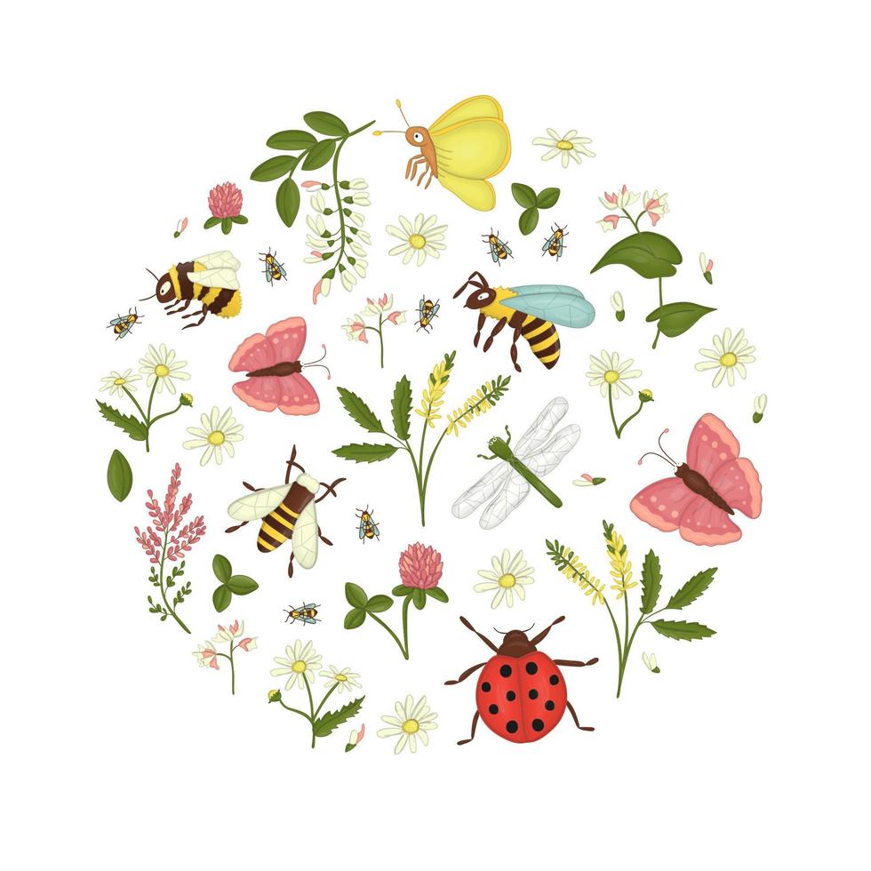 Vector set of wild flowers, bee,  bumblebee, dragonfly, ladybug, moth, butterfly framed in circle. Cute collection meadow or field insects, acacia, heather, camomile, buckwheat, clover, melilot