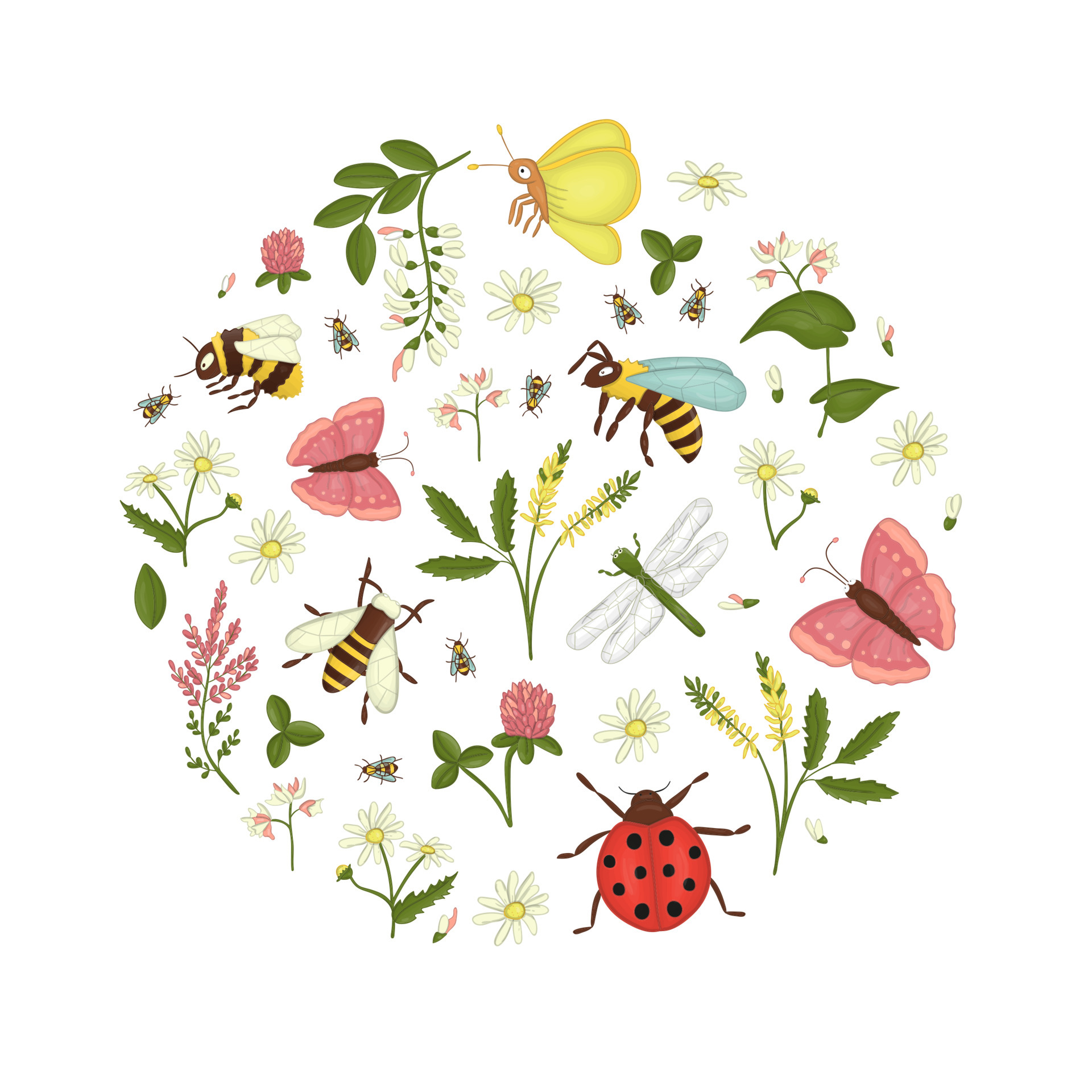 Vector set of wild flowers, bee, bumblebee, dragonfly, ladybug, moth