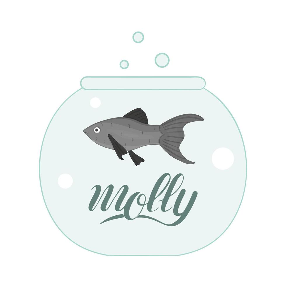 vector ilustración coloreada de peces en acuario con letras de nombre de peces. linda imagen de molly para tiendas de mascotas o ilustración infantil